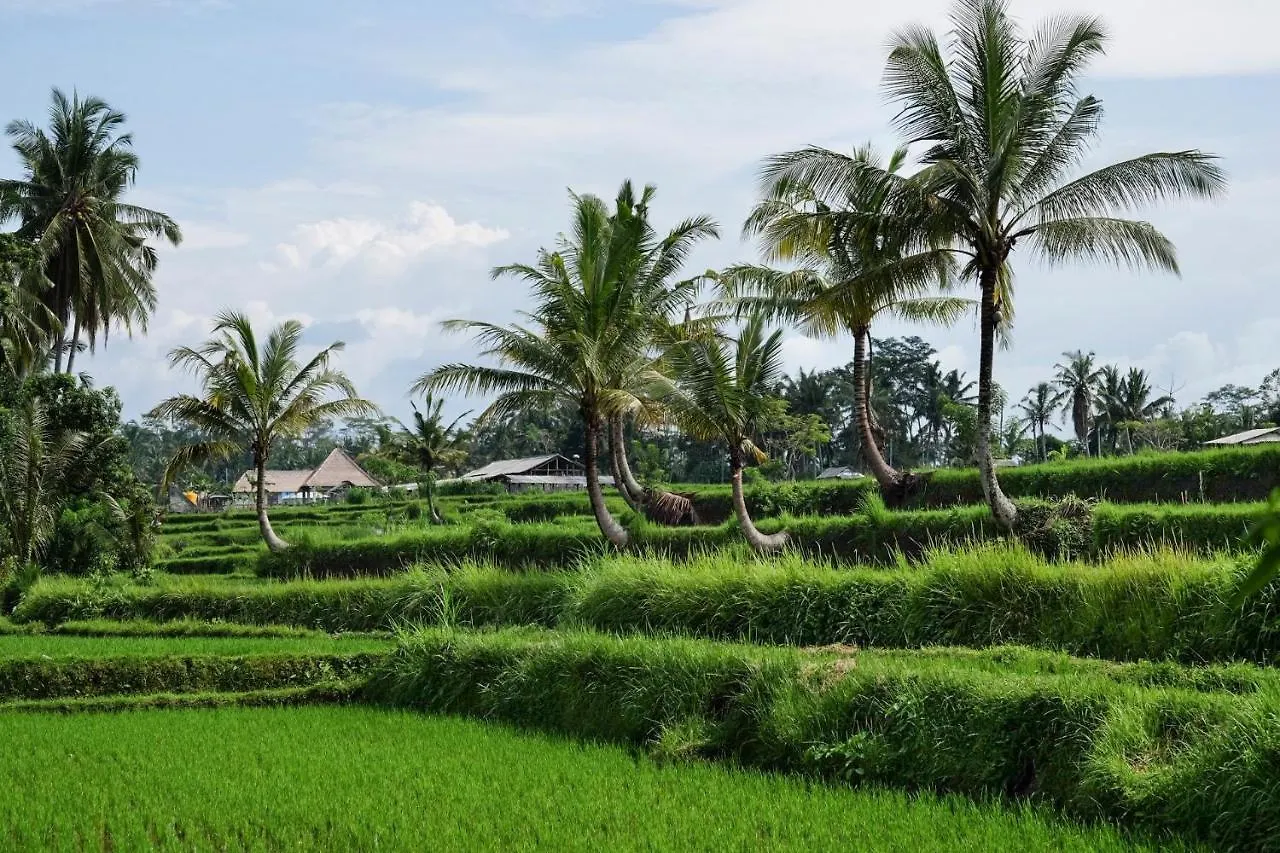 Sandat Glamping Tents Ubud