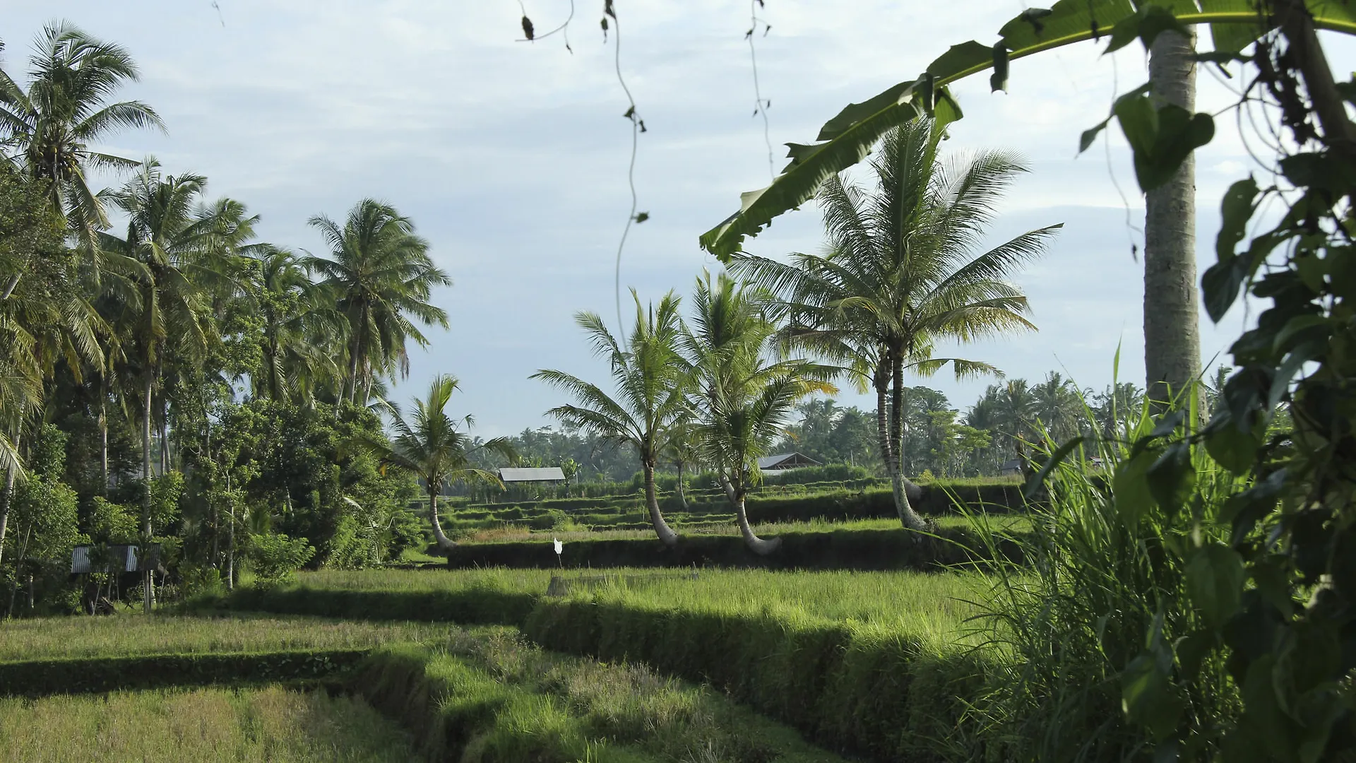 Sandat Glamping Tents Ubud Luxuszelt